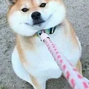 告白哥直播、組隊、找團、語音、開黑群組