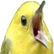 Pudgy Bird Roost