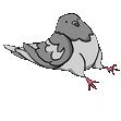 Pydjn's lounge Discord Server Icon