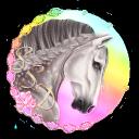 Star Stable Dressage icon
