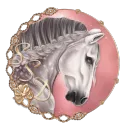 Star Stable Dressage