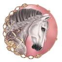 Star Stable Dressage icon