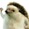 Discord Emoji: Mega Server Icon