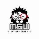 MSW Server