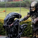 AVP