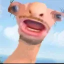 Random memes