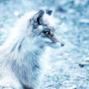Fà¹xygen's Den Server Icon