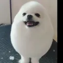 しゅうの部屋