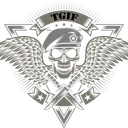 Tactical Ground Investigation Forces
