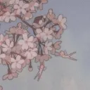 -ˋˏ 𝓯𝓪𝓲𝓻𝔂𝓵𝓪𝓷𝓭 ˎˊ-