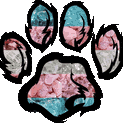 PAW Cowommunications