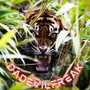 Hunting Tigers