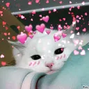 ♡ 𝑺𝒂𝒓𝒂𝒉'𝒔 𝑫𝒊𝒔𝒄𝒐𝒓𝒅 ♡