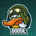 Mr Goose & Radon's Twitch Community