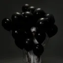 NF