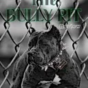 Bully Pit Crypto