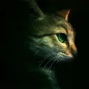 Warrior Cats World RP (The Gem Clans)