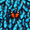 We Are Different! Server Icon