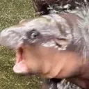 色々