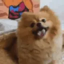 Bubble