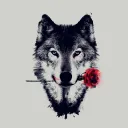 Wolfrage