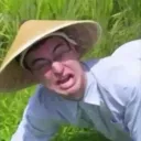 The Rice Fields