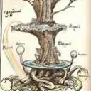 The Nine Realms