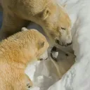 a bunch of friends