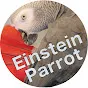 Einstein the Talking Parrot