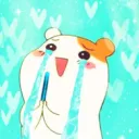 Shawols Europe