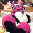 FantasyHub (Lily the Shuly Discord Stream server)