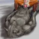 gay males and furrys