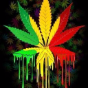 Stoner Paradise