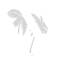 Discovery icon for viceroleplay.com - Bu akşam! Discord server