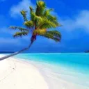 discord open des vacs