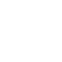 Adult Çizgi