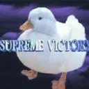 GOOSE TAMING