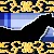HARPG-International