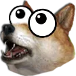 The Doge House