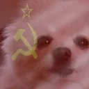 Soviet Dog House