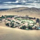 The Oasis