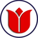 Istanbul Virtual Airlines