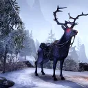 Elker Scrolls Online