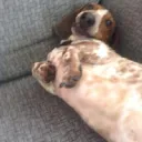 Les KIKI