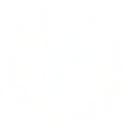 Enlightened Collective