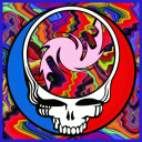 Discovery icon for Not Fade Away Discord server