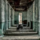 Social Asylum