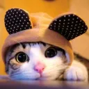 Nyaa Langs