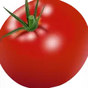 Tommy’s Tomatoes