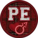 PE Development Team Discord Server Icon
